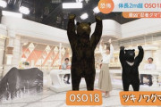 【速報】家畜66頭を襲う猛威を振るう最強ヒグマOSO18の姿がカラーで公開される
