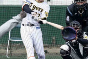 阪神２年目の高寺望夢　１軍実戦デビューで快音　初打席初安打