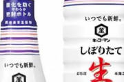 醤油の鮮度キープボトル発明したやつって結構な偉人だよな
