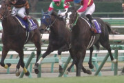 【競馬】今年の有馬記念がヤバい！