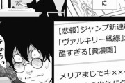 【画像】打ち切り漫画家の苦悩が辛すぎる模様・・・