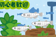 アクア初心者さん「急遽メダカを購入することになったのですが…」　ベテラン「事前準備せずに生き物買うとかなめすぎ」