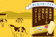 【激ウマ】売り切れ続出でどこにも売ってない「かじるバターアイス」を探してコンビニ回った結果ｗｗｗｗｗ