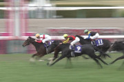 【競馬/阪神JF】シェーングランツ武豊下手すぎワロタw
