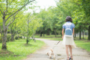 毎朝犬を散歩してる女の子がかわいい　好きだ