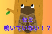 「セミが鳴いていない!?」空梅雨と急激な暑さで羽化に失敗か「35℃を超えるとあまり鳴かなくなる」