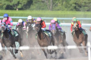 【悲報】 競馬のムチ、意味がないことが研究で判明