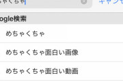 【悲報】「めちゃくちゃ」のサジェスト、全部アホそう