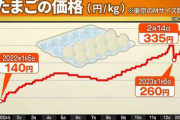 【悲報】卵の価格、ついに300円台