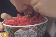 牛丼屋さんで紅しょうがをアホほど乗せている奴の正体