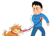 【散歩中】「これ動物虐待ですよね？」犬を強引に引きずる飼い主さんの動画