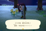 【あつまれどうぶつの森】３月終わったけどお前らイトウ釣れたか……？