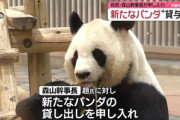 中国副首相､自民･森山幹事長との会談で｢パンダ貸与､国民交流にとって重要｣ 二階元幹事長の息子｢中国から再びパンダを！｣