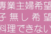 ワイの彼女(専業主婦希望、子無し希望、料理できない)←こいつに出来ること