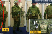 自衛隊のクマ対策開始、隊員は防弾チョッキを装備…護身は「木銃」やスプレーで対応！