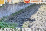 伊達みきお、クマ駆除めぐり私見「今抗議してるやつ何も知らないでしょ？ライオンとか虎と一緒じゃん」