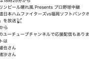 はるぴょんが多分めちゃくちゃやりたそうなお仕事にあのAKB卒業生の名前が