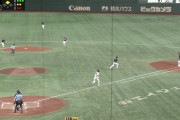 ピーターズ、Pゴロをキャッチしたと思って一塁へ全力疾走ｗｗｗｗ