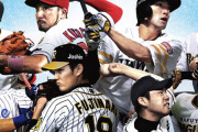 プロ野球で好きな１，２番のコンビ