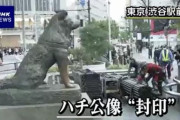 渋谷区、ハロウィン対策で外国人観光客に大人気だったハチ公像を封印してしまう