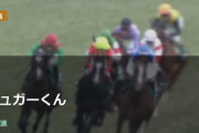 シュガーくん復活！！