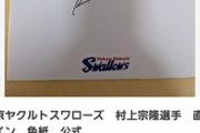 メルカリに有名人のサインを大量に売ってるやついるんだが
