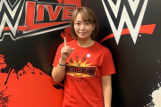 美人な女子プロレスラー教えて