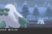 【ポケモン剣盾】ポケモンの天候パーティの中で「あられパーティ」だけやたら弱くない？