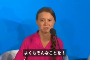 グレタ・トゥンベリ とかいう環境活動家wwwwwww