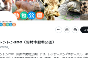 【ヒノトントンZOO】シロオリックスさん　働きすぎる現代人に大事な事を教えてくれる