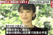 小室圭と眞子の警護費用って必要か？