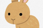 【画像】「ウサギギギ」という名前の生物を思い浮かべてから開いてください。