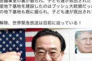 【悲報】マスク拒否で飛行機降ろされた広島の議員「コロナは全て嘘。闇の組織の陰謀」