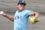 今年の高校球児ガチでプロで通用しそうなのがいないｗｗｗｗｗｗｗｗｗｗｗｗｗｗ