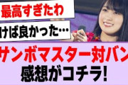 乃木坂46×サンボマスター、風とロックの対バンライブ感想がコチラ！【乃木坂46・乃木坂工事中】