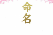 主人が子どもに春生まれじゃないのに『桜子』と名付けた。 親類や友人から「よくOK出したね」とか言われて落ち込んでる…