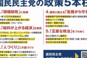 国民民主党､政策がガチでまともなのに支持されない
