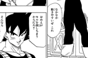 ベジータ「貴様が戦闘服を着ても無駄だぞ」ﾆﾔｯ　悟空「おめえがセルを倒しちまうからだろ？」ﾆﾔｯ