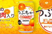 ?サンガリアとかいう3流飲料メーカーｗｗｗ?