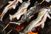 【朗報】焼きで一番うまい魚、満場一致で決まる