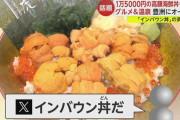豊洲のインバウン丼、限界突破ｗｗｗｗｗ