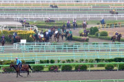 【悲報】競馬村で集団クラスター発生か!? 美浦で騎手が続々と乗り替わり発生