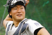 西武スカウト、攻撃型捕手の安田を視察