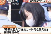 【悲報】盗んだクレカでぬいぐるみ買って逮捕された可愛い女さんのご尊顔ｗｗｗｗｗ