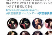 安室奈美恵DVD「買ったら2個缶バッチ付いてくるぞ！5種類あってコンプリートしたら更に2個あげるぞ！」