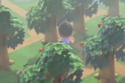 【悲報】あつまれどうぶつの森、木の後ろがスッカスカな手抜き仕様が判明してしまう