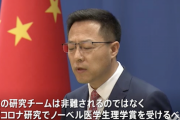 【気狂い】「武漢の研究チームにノーベル賞を」 中国外務省報道官