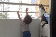 【ネコ】幼児を守ろうとするベランダ警備員の動画が人気に。