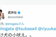 【正義】武井壮「人を犬に例えるような差別する輩には然るべき対応を」→過去の自分に論破をされる