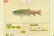 【あつまれ どうぶつの森】イトウを釣る条件は？３月まで
